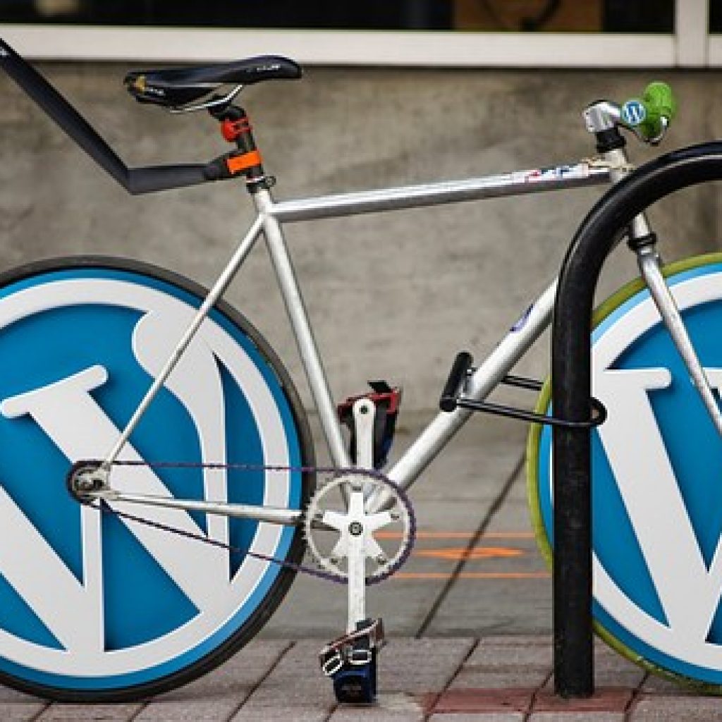 Wordpress SEO Leitfaden für Anfänger