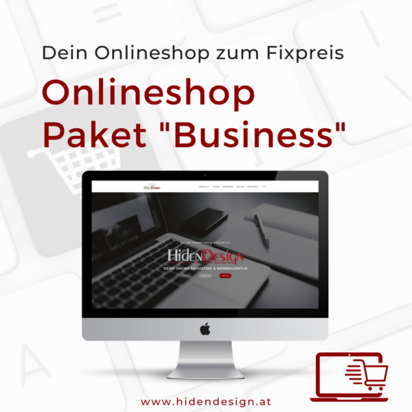 Onlineshop Paket “Business”