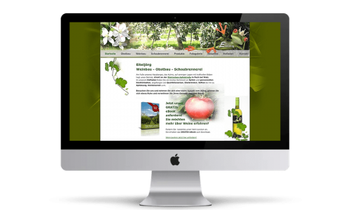Website Webdesign HidenDesign Eiteljörg Kapfenberg Steiermark
